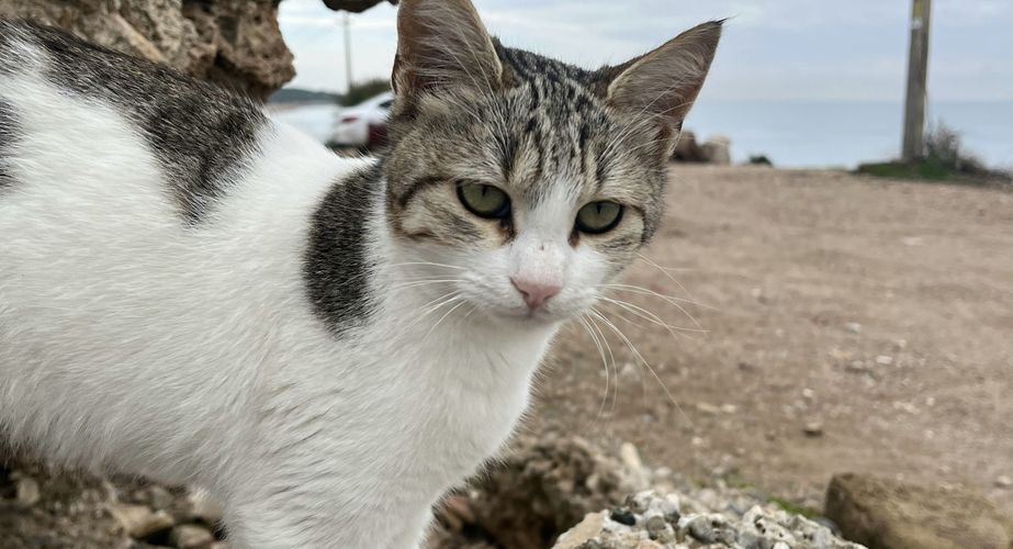 Antalya Turkije 6 Antalya Turkije 6